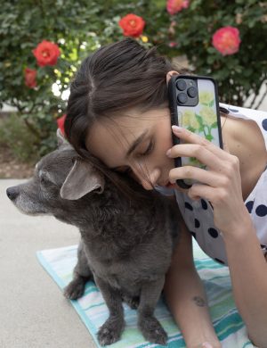 Yellow Roses iPhone Case